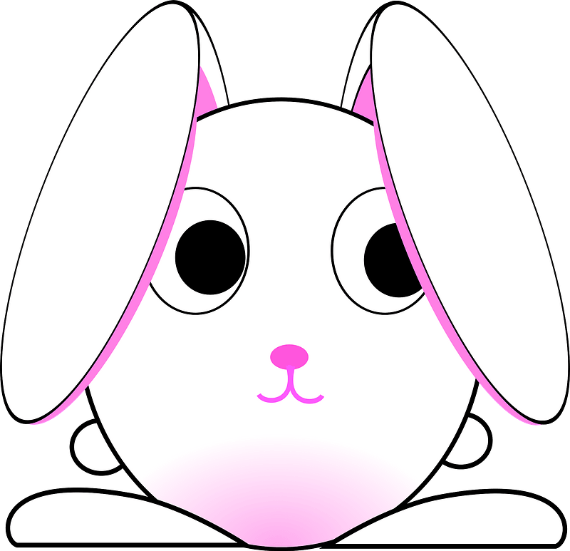 Chinese zodiac rabbit