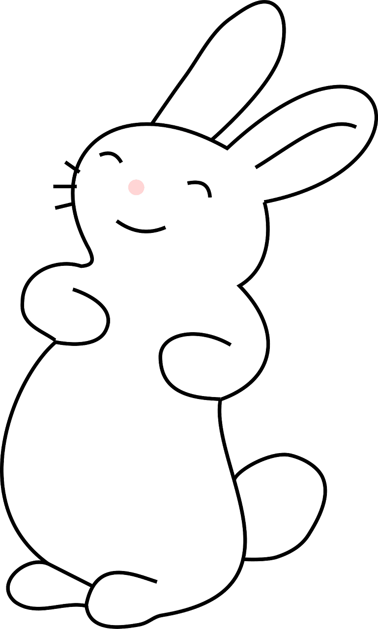 Happy rabbit