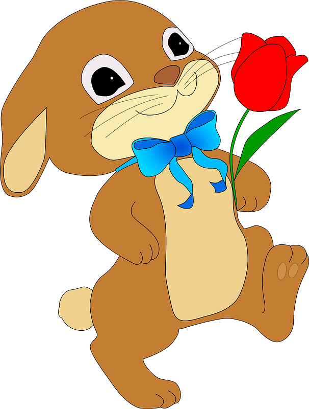 Rabbit with red tulip