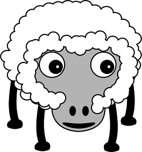 Sheep