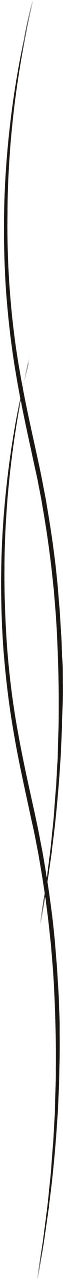Curved line