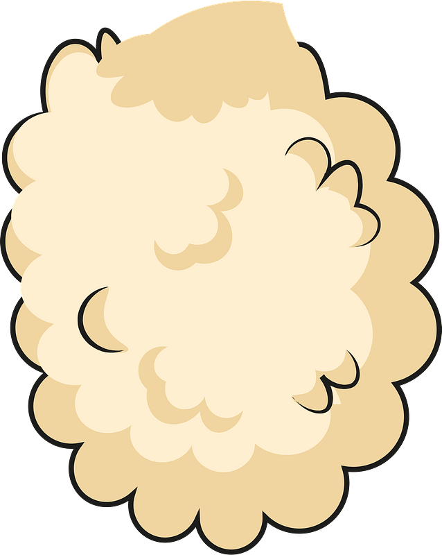 Sheep body fur