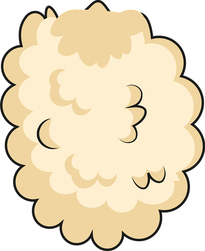 Sheep fur