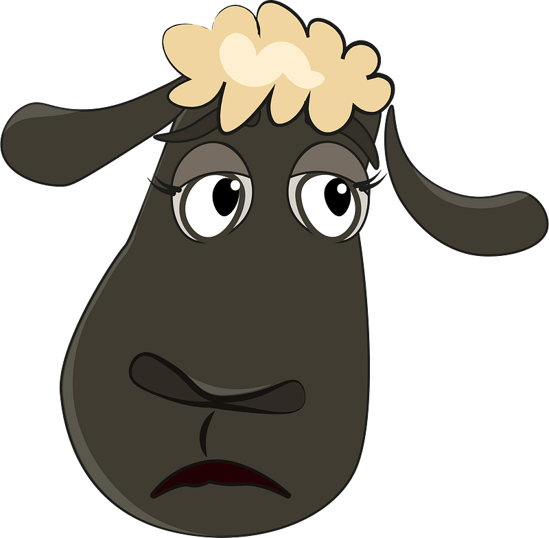 Sheep head