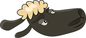 Sheep head