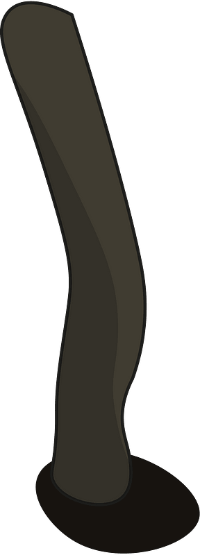 Sheep leg