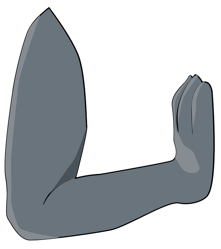 Wolf hand in pray