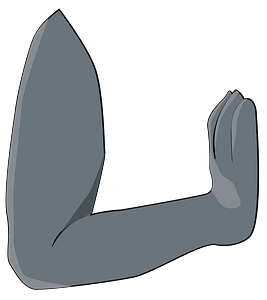 Wolf hand in pray