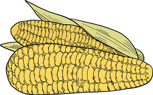 Corn cobs