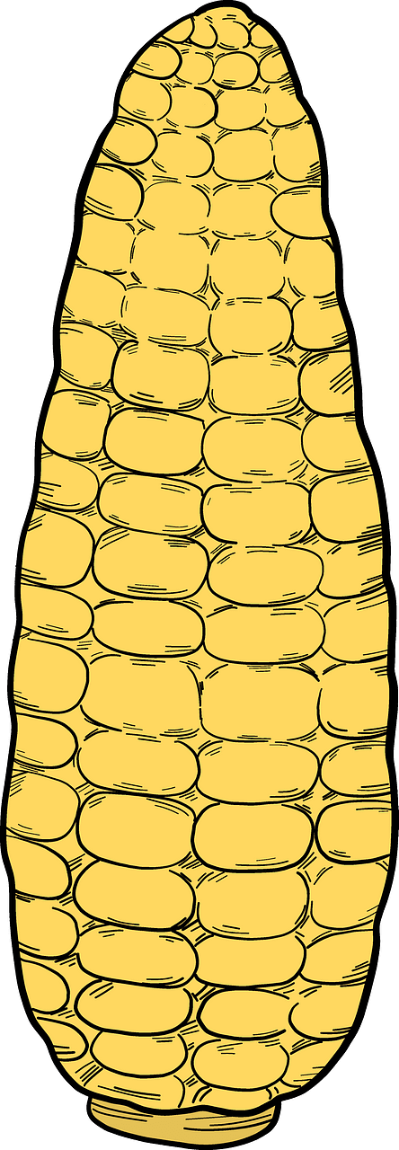 KONDOM