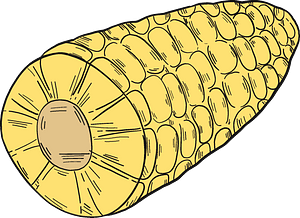 Corn