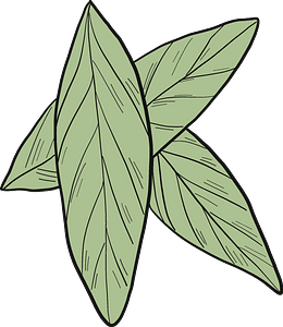 Laurel leaves