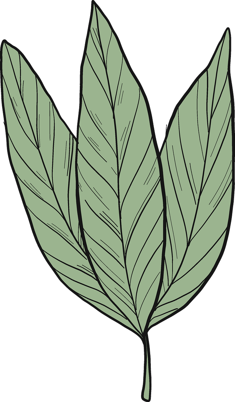 Laurel leaves