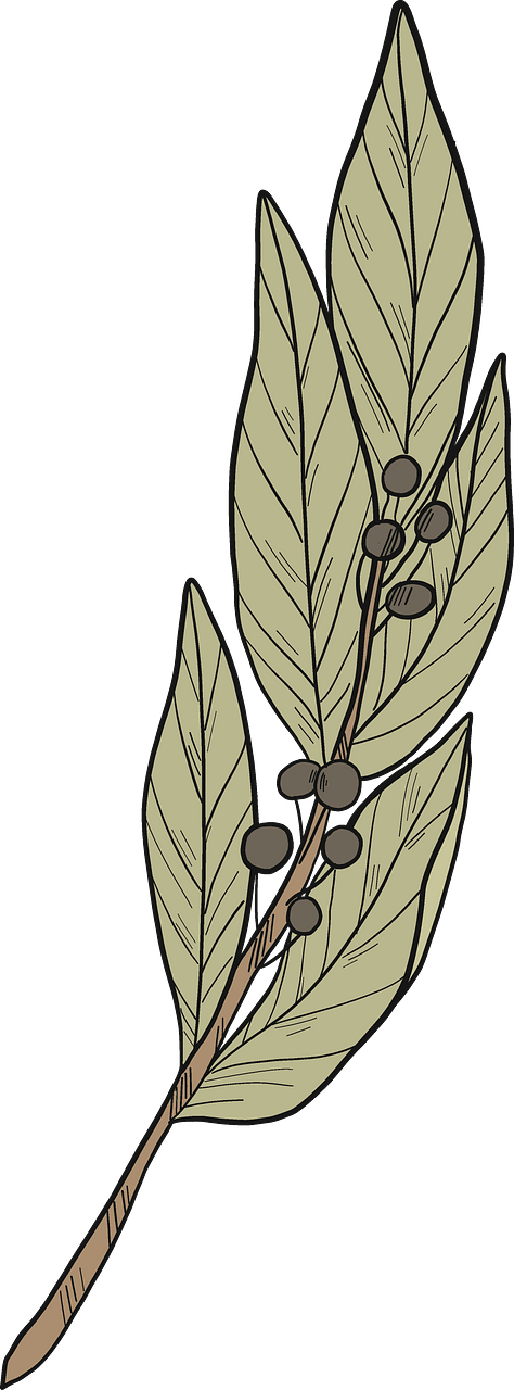 Laurel