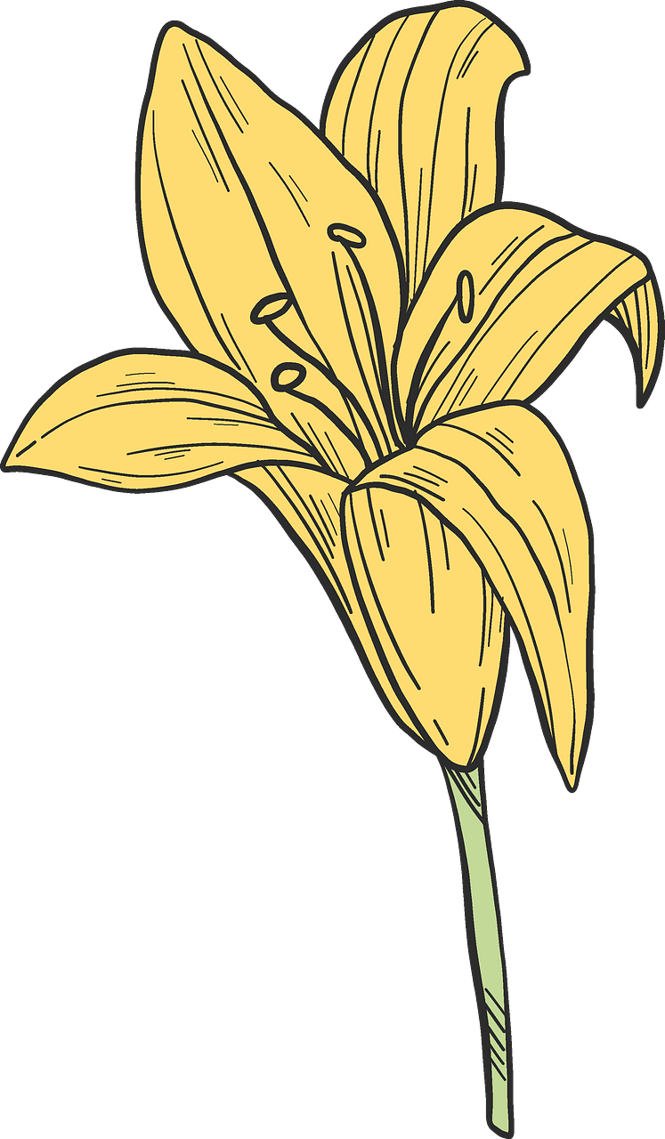 Yellow lilies
