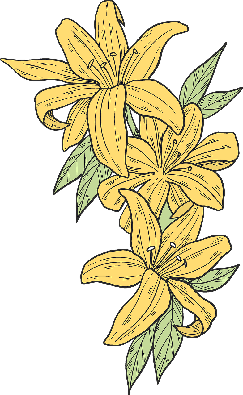 Yellow lilies