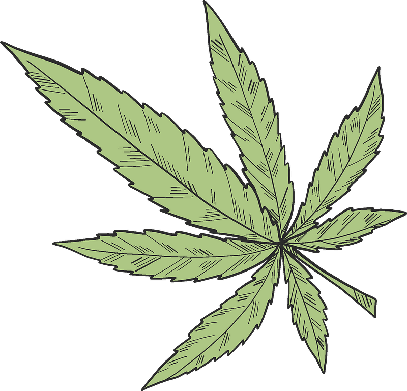 Marijuana