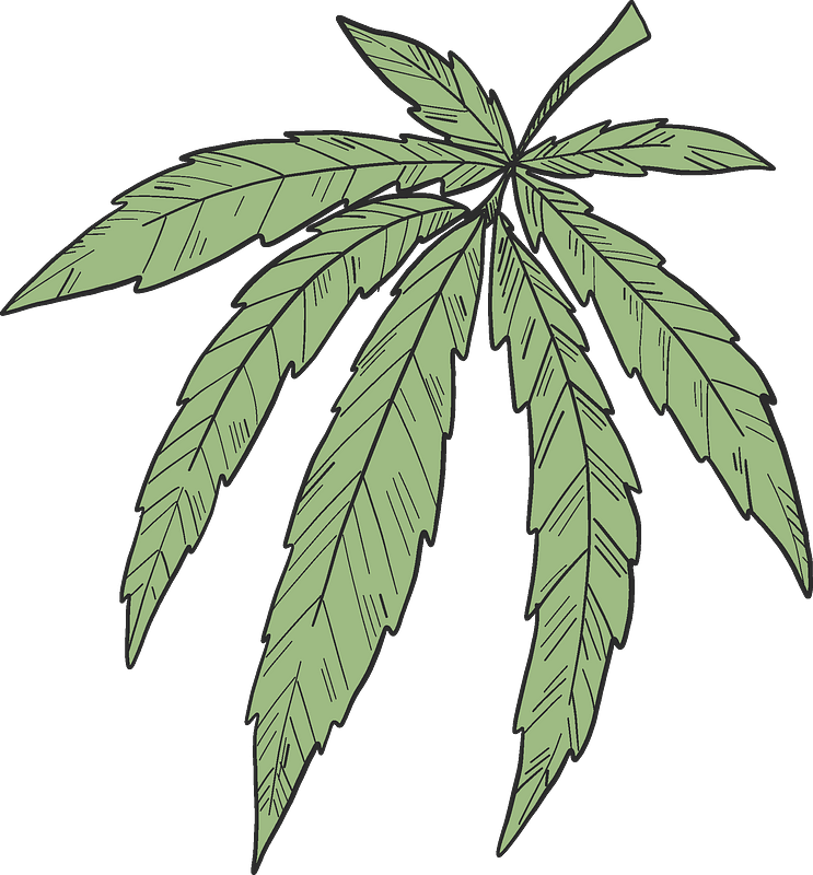 Marijuana