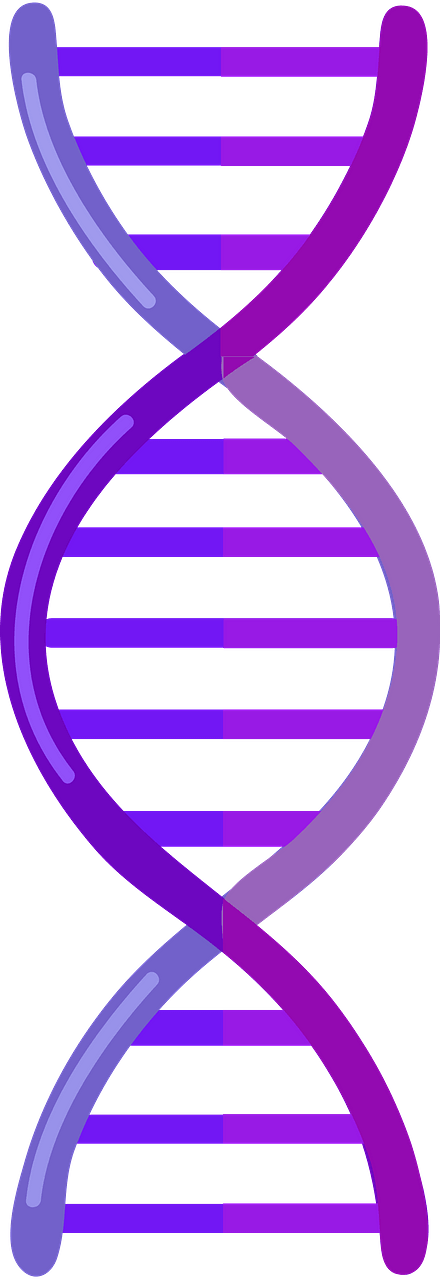 DNA