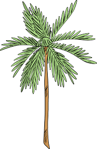 Palm tree