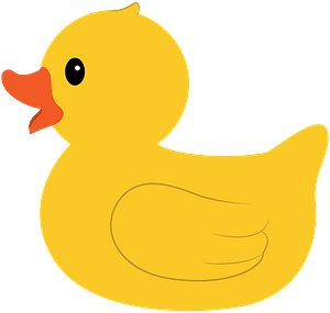 Rubber duck