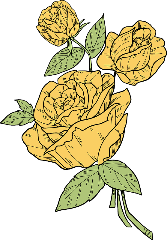 Yellow roses