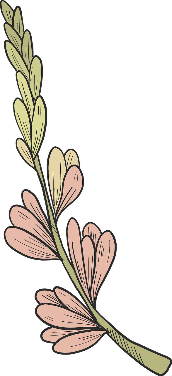 Spring flowers