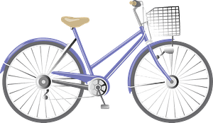 Blue City Bicycle