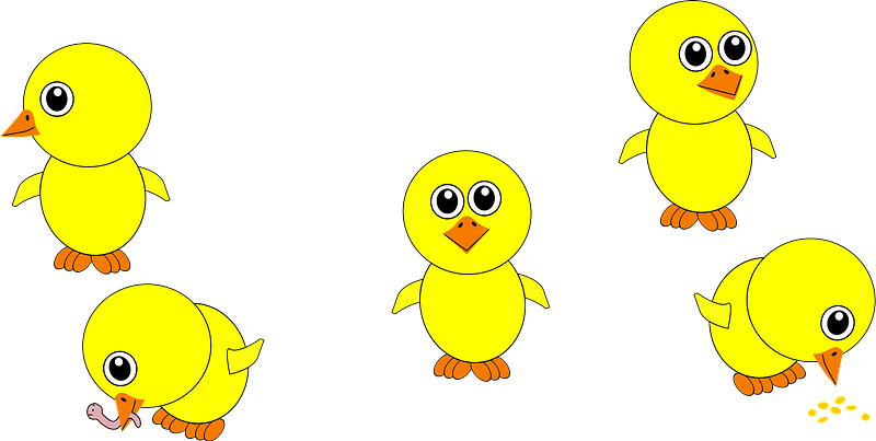 Funny chicks eating and in multiple positions cartoon