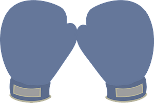 Boxing gloves