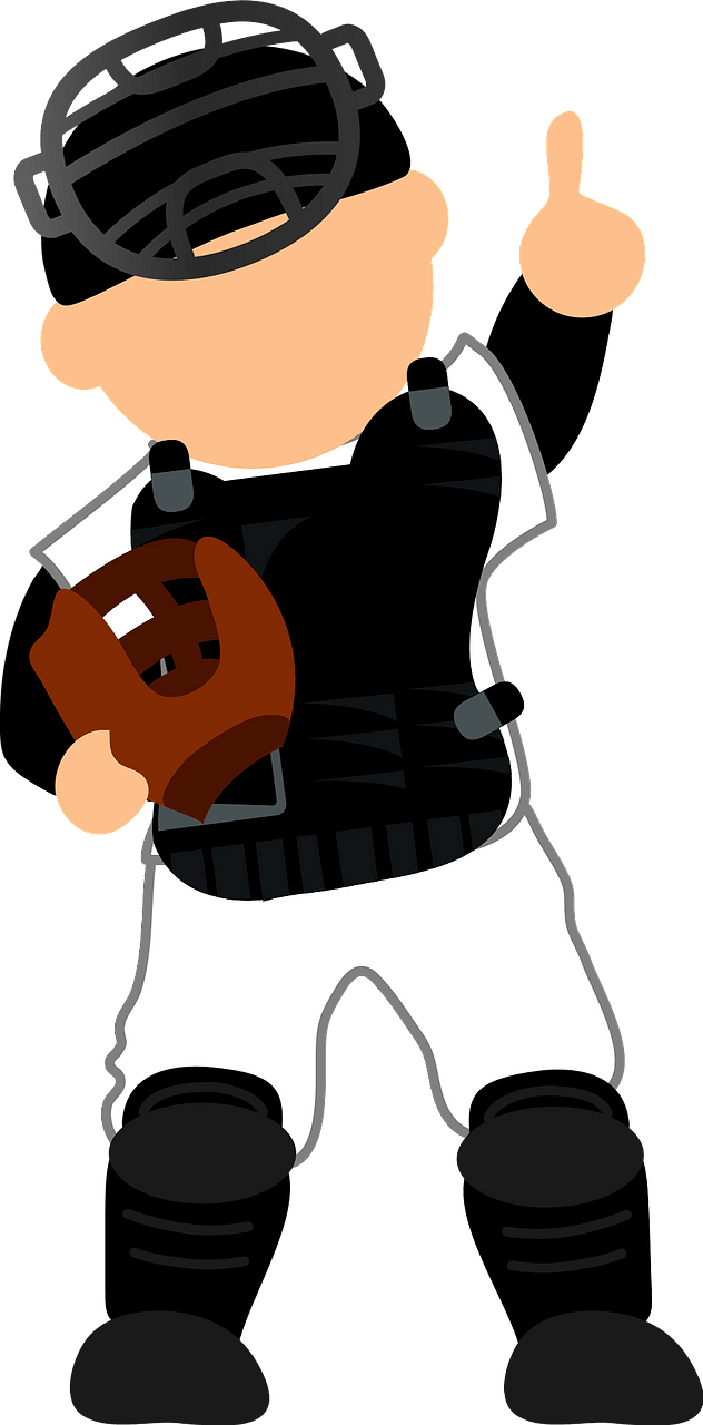 Baseball catcher