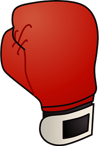 Boxing glove