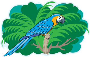Parrot