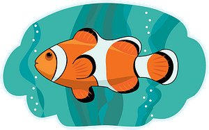 Clownfish