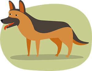 German shepherd