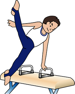 Pommel horse gymnastics