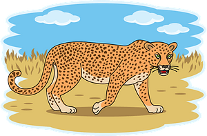 Leopard