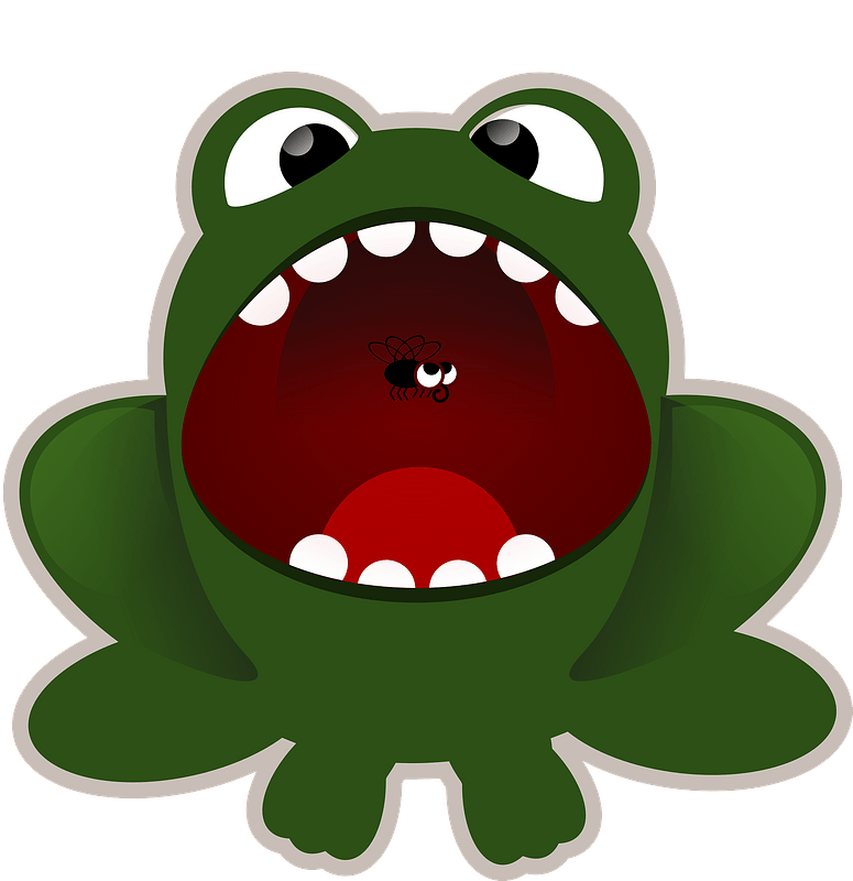 Frog catching a fly