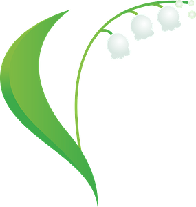 Lily of the valley