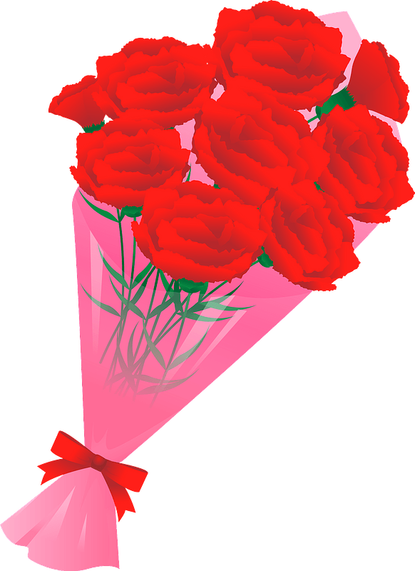 Carnation bouquet for mother's day