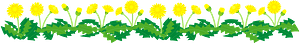 Dandelion flower line