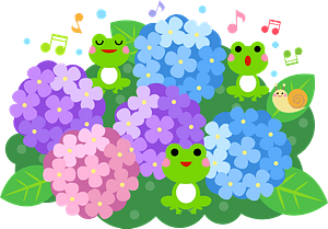 Frog is singing among the hydrangeas