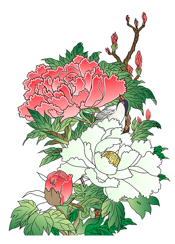 Peony flower