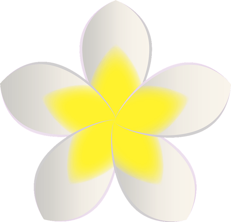 Plumeria flower