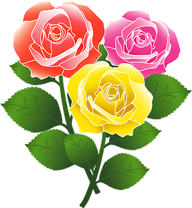 Red, Pink, and Yellow Roses