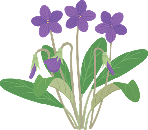 Violets on the stem