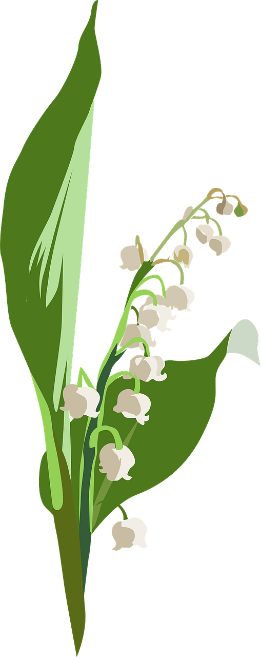 Lily of the valley flower