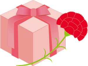 Carnation and mother's day present