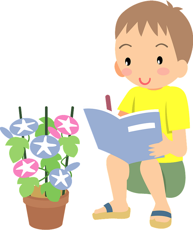 Boy writing, morning glory in a pot