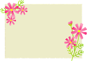 Cosmos flower message card